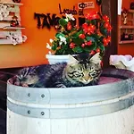 Del Tavolo Matto 3*