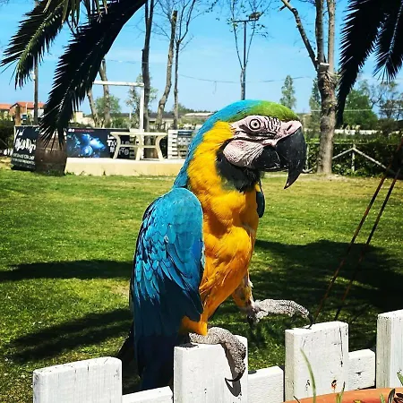 Del Tavolo Matto 3* Potenza Picena