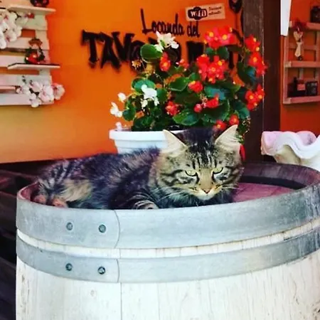 Del Tavolo Matto 3*